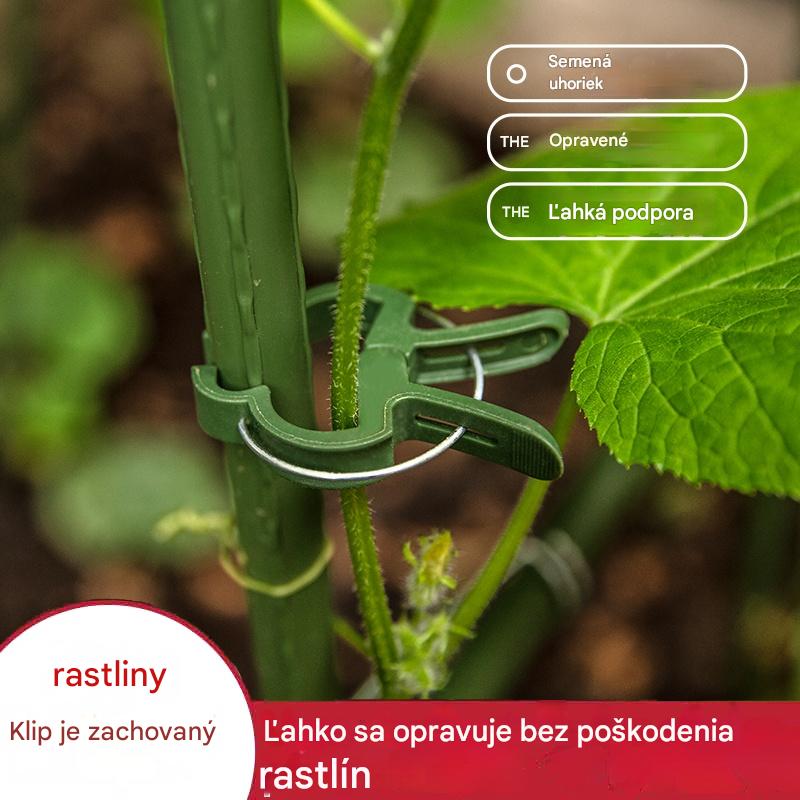 🍃【100 ks.】Klipy na vinič pre záhradníctvo