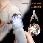 🐱【Osta üks, saad teise tasuta】LED-valgustus - küüneviilid kassidele ja koertele